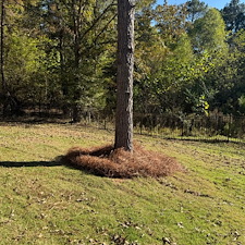 Pine-Straw-Installation-Oxford-MS 14
